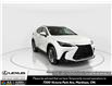 2026 Lexus NX 350  (Stk: 14112570) in Markham - Image 1 of 21