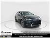2026 Lexus UX 300h  (Stk: 14112971) in Markham - Image 1 of 20