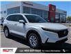 2026 Honda CR-V LX (Stk: 4304) in Lethbridge - Image 1 of 22