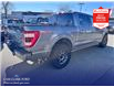 2022 Ford F-150 Platinum (Stk: X69577) in Richmond - Image 7 of 28