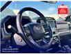 2022 Ford F-150 Platinum (Stk: X69577) in Richmond - Image 23 of 28