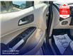 2019 Ford Transit Connect XLT (Stk: T08211) in Richmond - Image 17 of 25