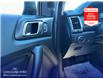 2021 Ford Ranger XLT (Stk: T67428) in Richmond - Image 17 of 25