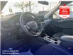 2024 Ford Escape PHEV (Stk: AT62486) in Richmond - Image 13 of 25