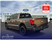 2025 Ford F-150 Lightning XLT (Stk: T10021) in Richmond - Image 4 of 25