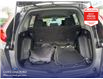2017 Honda CR-V LX (Stk: AT11503) in Richmond - Image 11 of 25