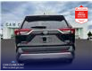 2024 Toyota RAV4 Hybrid Limited (Stk: T47483) in Richmond - Image 5 of 25