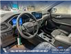2025 Ford Escape PHEV (Stk: 25S2981) in Olds - Image 13 of 25