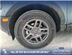 2025 Ford Bronco Sport Big Bend (Stk: 25S2165) in Red Deer - Image 6 of 24