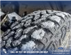 2025 Ford Maverick Tremor (Stk: 25T4974) in Olds - Image 7 of 25