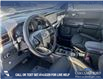 2025 Ford Maverick Tremor (Stk: 25T4974) in Olds - Image 13 of 25
