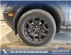 2025 Ford Bronco Sport Big Bend (Stk: 25S1945) in Olds - Image 6 of 24