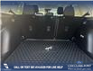 2025 Ford Bronco Sport Big Bend (Stk: 25S2405) in Olds - Image 12 of 25