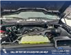 2025 Ford F-150 XLT (Stk: 25T8249) in Red Deer - Image 10 of 24