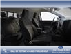 2024 Ford Ranger XLT (Stk: 24CT0515) in Canmore - Image 5 of 7