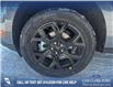 2025 Ford Maverick XLT (Stk: 25T1550) in Olds - Image 6 of 25