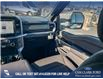 2025 Ford F-150 XLT (Stk: 25T9508) in Red Deer - Image 24 of 24