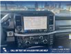 2025 Ford F-350 Platinum (Stk: 25T7481) in Olds - Image 18 of 24