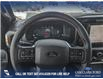 2025 Ford F-150 Tremor (Stk: 25T7952) in Red Deer - Image 13 of 24