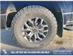 2025 Ford F-150 Tremor (Stk: 25T2544) in Red Deer - Image 6 of 24