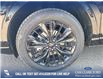 2025 Ford Escape ST-Line Elite (Stk: 25S6543) in Red Deer - Image 6 of 25