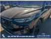 2025 Ford Escape ST-Line Elite (Stk: 25S6543) in Red Deer - Image 8 of 25