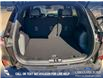 2025 Ford Escape ST-Line Elite (Stk: 25S6543) in Red Deer - Image 12 of 25