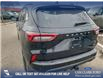 2025 Ford Escape ST-Line Elite (Stk: 25S6406) in Red Deer - Image 11 of 25