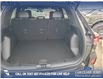 2025 Ford Escape ST-Line Elite (Stk: 25S6406) in Red Deer - Image 12 of 25