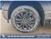 2025 Ford F-150 XLT (Stk: 25T7611) in Red Deer - Image 6 of 24