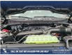 2025 Ford F-150 XLT (Stk: 25T7611) in Red Deer - Image 10 of 24