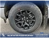 2025 Ford F-150 XLT (Stk: 25AT6223) in Airdrie - Image 6 of 25
