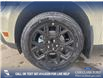 2025 Ford Maverick Lariat (Stk: 25T3209) in Olds - Image 6 of 25