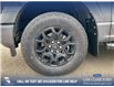 2025 Ford F-150 XLT (Stk: 25T3819) in Red Deer - Image 7 of 24