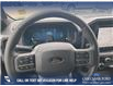 2025 Ford F-150 XLT (Stk: 25T3819) in Red Deer - Image 13 of 24