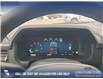 2025 Ford F-150 XLT (Stk: 25T3819) in Red Deer - Image 14 of 24