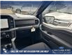 2025 Ford F-150 XLT (Stk: 25T3819) in Red Deer - Image 24 of 24