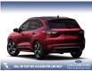 2025 Ford Escape ST-Line Elite (Stk: 25CS8399) in Canmore - Image 2 of 7