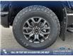 2025 Ford F-150 Tremor (Stk: 25AT4211) in Airdrie - Image 6 of 25