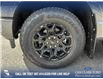 2025 Ford F-150 XLT (Stk: 25AT0210) in Airdrie - Image 6 of 25