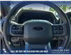 2025 Ford F-150 XLT (Stk: 25AT2084) in Airdrie - Image 14 of 25
