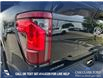 2025 Ford F-150 XLT (Stk: 25AT9814) in Airdrie - Image 11 of 25