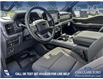 2025 Ford F-150 XLT (Stk: 25AT9814) in Airdrie - Image 13 of 25