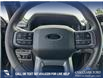 2025 Ford F-150 XLT (Stk: 25AT9814) in Airdrie - Image 14 of 25