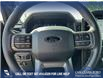 2025 Ford F-150 Lariat (Stk: 25AT7442) in Airdrie - Image 14 of 25