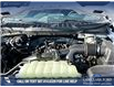 2025 Ford F-150 XLT (Stk: 25AT3720) in Airdrie - Image 10 of 25 2025 Ford F-150 XLT (Stk: 25AT3720) in Airdrie - Image 10 of 25