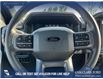 2025 Ford F-150 XLT (Stk: 25AT3720) in Airdrie - Image 14 of 25 2025 Ford F-150 XLT (Stk: 25AT3720) in Airdrie - Image 14 of 25