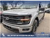 2025 Ford F-150 XLT (Stk: 25T8529) in Red Deer - Image 8 of 24