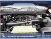 2025 Ford F-150 STX (Stk: 25T3233) in Red Deer - Image 8 of 24