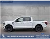 2025 Ford F-150 STX (Stk: 25T5132) in Red Deer - Image 3 of 24